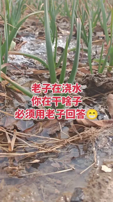 我在做脸，你在干啥，必须用老娘回答😁#记录我的守店日常 #美肌宜皮肤管理 #同城护肤#美容护肤 #XX同城-美肌宜